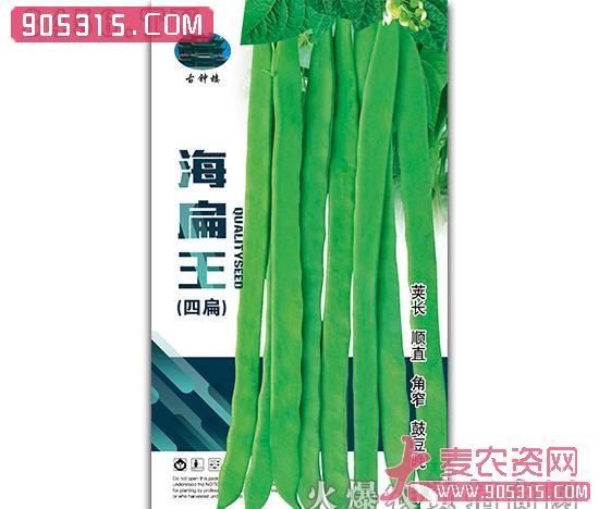 海扁王（四扁）-架豆种子-鑫源种业