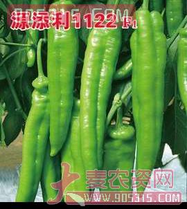 源添利1122F1——辣椒种子