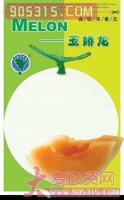 玉娇龙——甜瓜种子农资招商产品