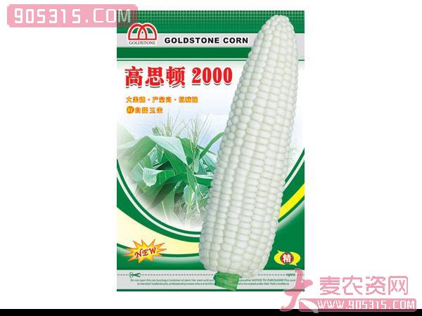 高思顿2000——玉米种子农资招商产品