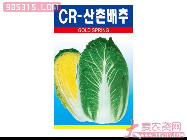 CR-春皇后——白菜种子农资招商产品
