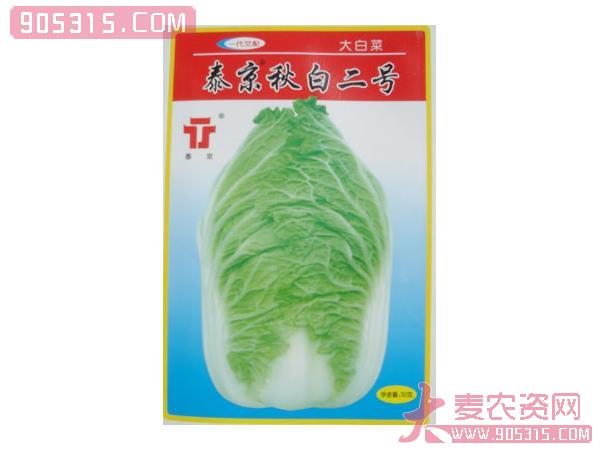 泰京秋白二号——白菜种子农资招商产品