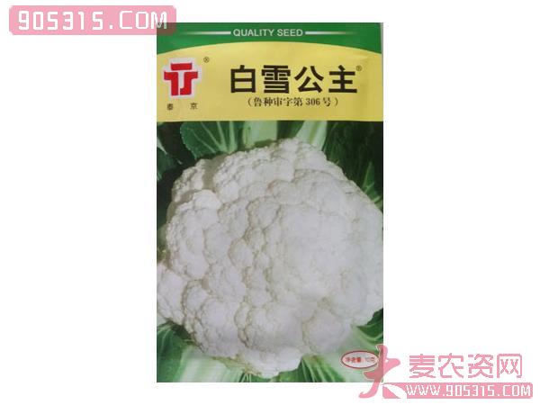 白雪公主(山东省审定品种)——花椰菜种子