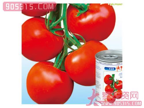 斯特朗（番茄种子）农资招商产品