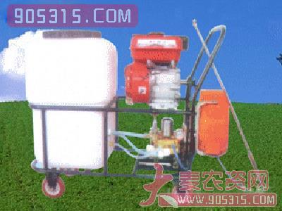 晨涛-TS168高效蔬菜大棚喷雾机