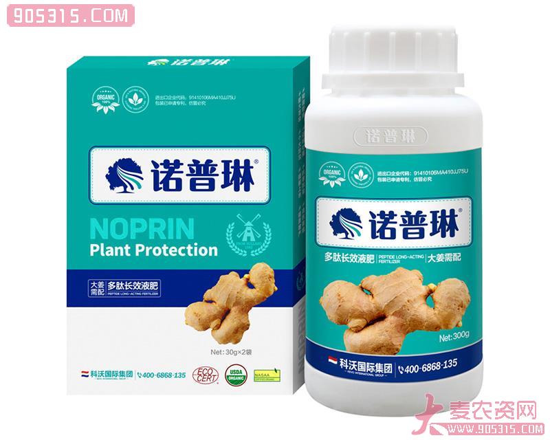 诺普琳——大姜需配农资招商产品