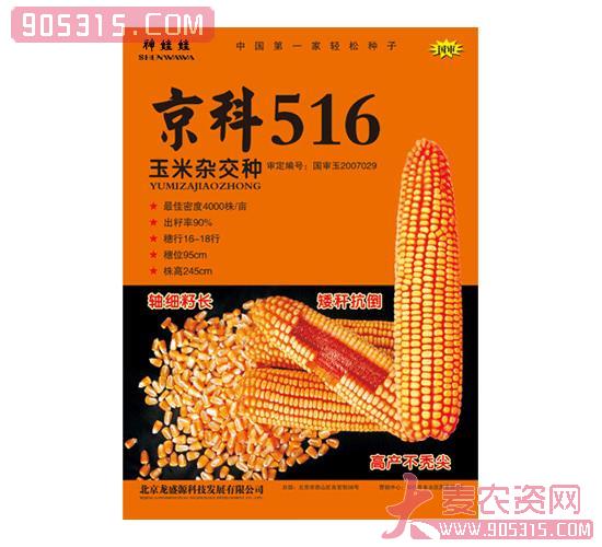 龙盛源-神娃娃-衡6136小麦原种农资招商产品