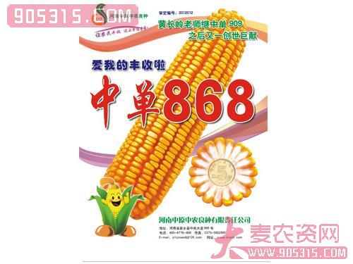 中单868 玉米种农资招商产品