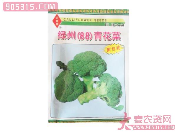 绿洲（88）青花菜农资招商产品