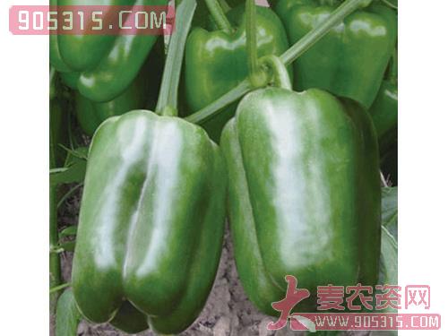 绿维纳——甜椒种子农资招商产品