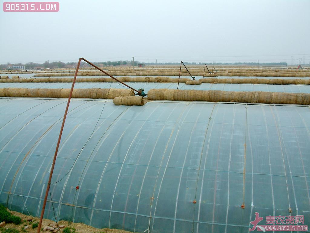 暖阳三层复合温室专用EVA日光膜农资招商产品