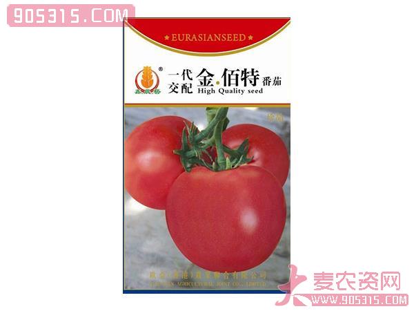 一代金佰特番茄——茄子种子农资招商产品