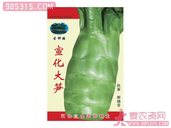 宣化大笋——芦笋种子农资招商产品