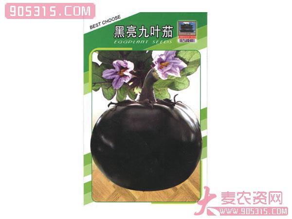 黑亮九叶茄——茄子种子农资招商产品