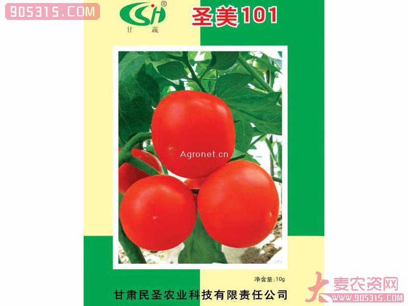供番茄种子圣美101农资招商产品