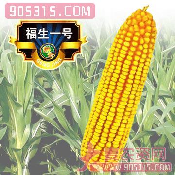 福生一号玉米种子农资招商产品
