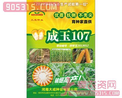 成玉107玉米种子农资招商产品