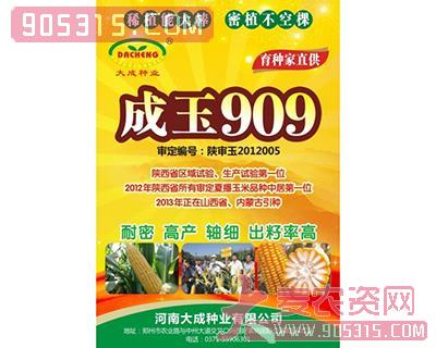 成玉909玉米种子农资招商产品