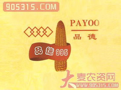 品德995玉米种子农资招商产品