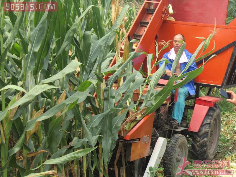 乐天4YW2A玉米收获机农资招商产品