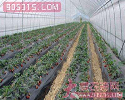 凯利丰-草莓葡萄专用灌浆膜农资招商产品
