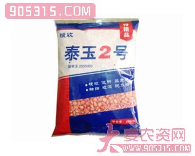 泰玉2号玉米种子农资招商产品