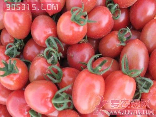 供应粉色樱桃小番茄农资招商产品
