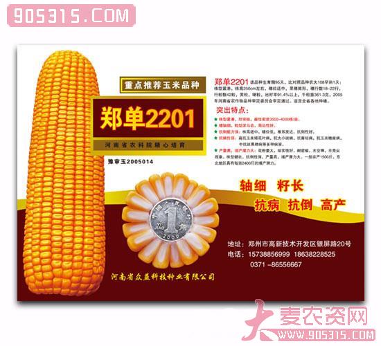 郑单2201-玉米种子农资招商产品