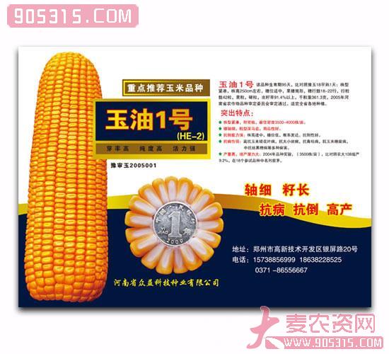 玉油1号-玉米种子农资招商产品