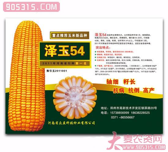 泽玉54-玉米种子农资招商产品