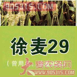 农禾-小麦-徐麦29农资招商产品