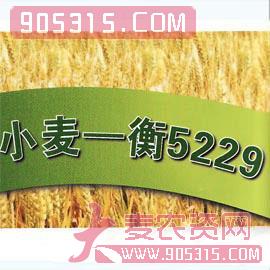 农禾-铁杆小麦衡522农资招商产品
