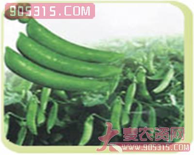 珍珠绿豌豆——豌豆种子农资招商产品