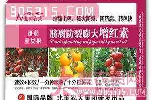 番茄圣女果脐腐防裂膨大增红素农资招商产品
