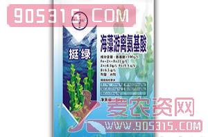 海藻游离氨基酸-挺绿农资招商产品