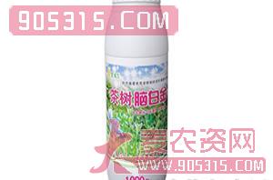 茶叶催芽剂-茶树脑白金-金波尔农资招商产品