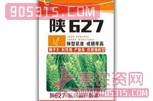 陕627-小麦种子-喜得粮