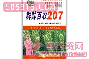 百农207-小麦种子-群帅农业