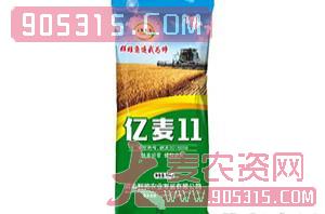 亿麦11-小麦种子-豫金谷农资招商产品