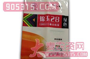 锦玉28-玉米种子-天成种业农资招商产品