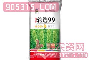 轮选99-小麦种子-农家福农资招商产品
