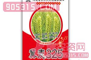 冀麦325-小麦种子-豫神农业农资招商产品