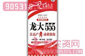 龙大555-小麦种子-龙大种业