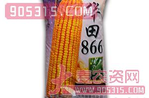 华田866-玉米杂交种-农光种业农资招商产品