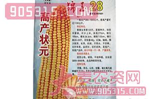 玉米种子-锦玉28-农光种业农资招商产品