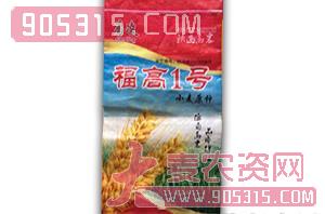 小麦原种-福高1号-鑫博农业