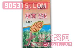 小麦种子-福高328-鑫博农业