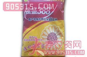 强盛388（袋装）-玉米种子-鑫博农业农资招商产品