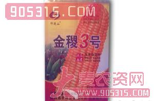 玉米种子-金稷3号-鑫博农业农资招商产品