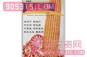 偃单8号-玉米种子-鑫博
